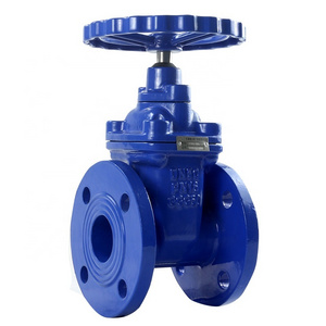 China Factory PN16 8 inch flanged BS5163 General Ductile Iron  Water gate valve