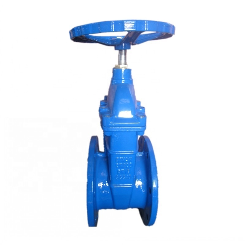 DN80 Resilient Manual Slide Gate Valve for Water General Application