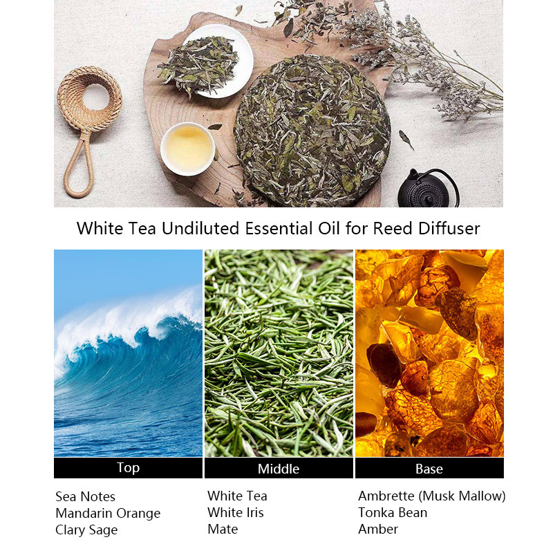 UNIQUE AROMA Westin Hotel White Tea Undiluted Essential Oil for Reed Diffuser, Electric Diffuser Machines Oils