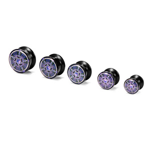 Fashion Ear Plug Flesh Tunnel Body Piercing Jewelry Ear Gauges Expander Stretching Kit