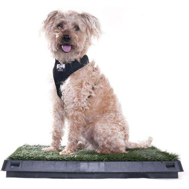 Unisport Pet Dog Cat Artificial Grass Litter Toilet Foot Mat Training Indoor Plastic Tray Grass Training System Box Dog