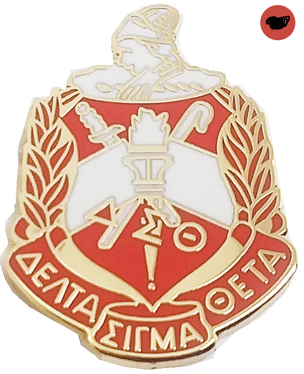 Greek Sorority Metal alloy Delta Sigma Theta Shield Lapel Pin  1913 brooch