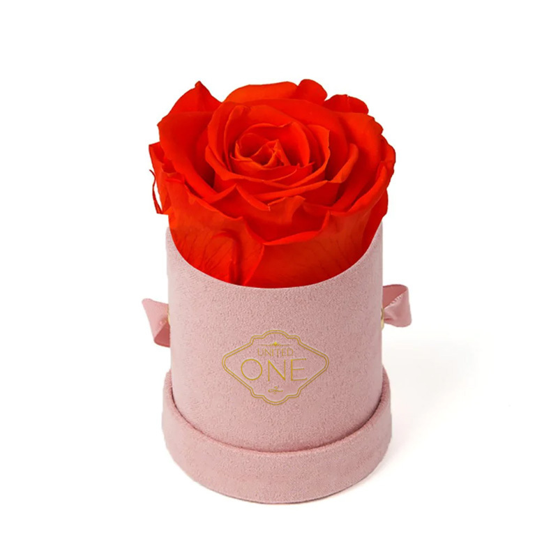 UO Single Rose Rainbow Color Preserved Flower Mini Rose Velvet Box Custom Red Pink Blue Purple Rose Rosas Eternas 2023 Gift Idea