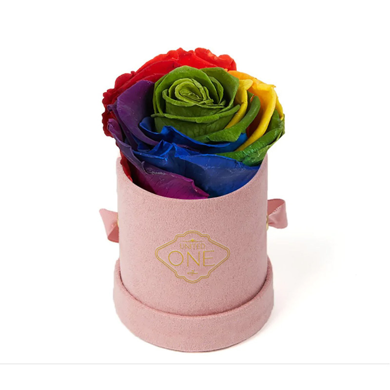 UO Single Rose Rainbow Color Preserved Flower Mini Rose Velvet Box Custom Red Pink Blue Purple Rose Rosas Eternas 2023 Gift Idea