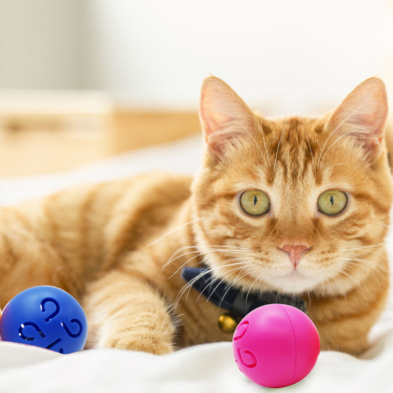 New Item Pet Toys Magic Ball  interactive cat ball cat rolling ball  For Cats