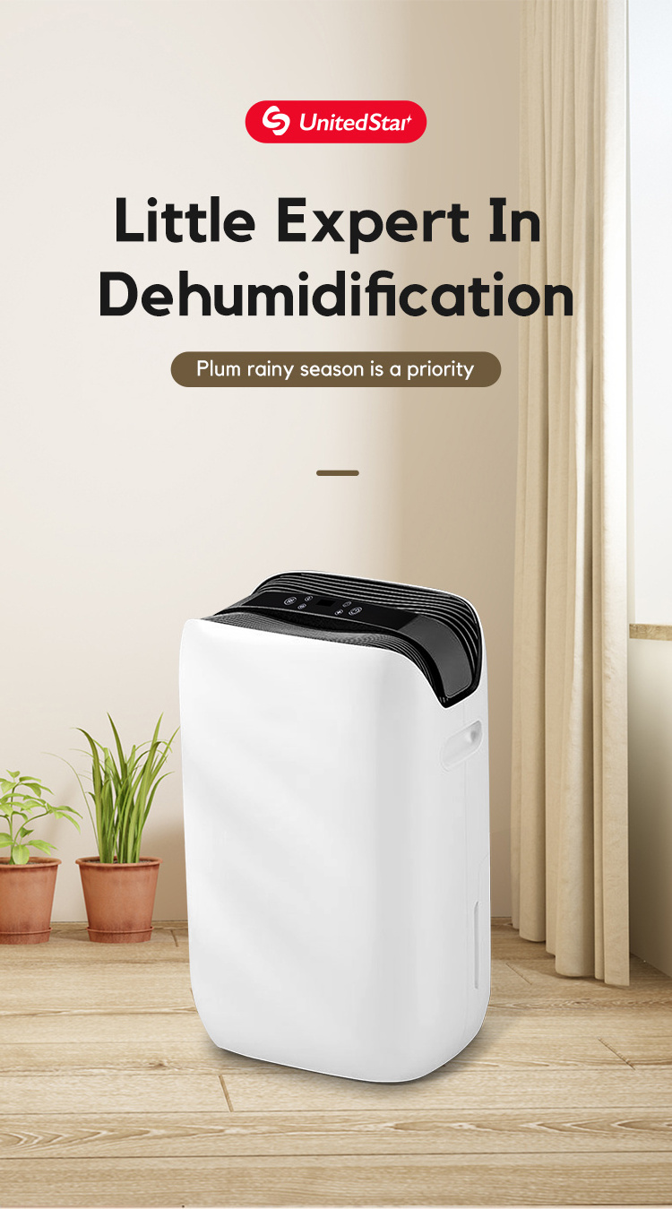 12l dryer household room portable dehumidifier commercial mini industrial home air dehumidifiers with air purifier home