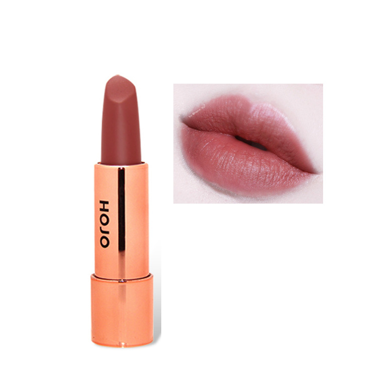 High quality wholesale HOJO fashion long-lasting lipstick cosmetics special waterproof velvet matte lipstick