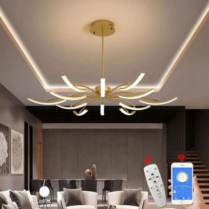 Matte Black/White Finished Modern Led Chandelier For Living Room Bedroom Study Room Adjustable New Led Chandelier Fixture