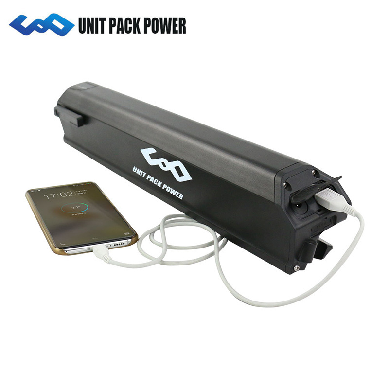 Reention electric e bike battery bike bicycle mountain 24v 36v 48v Ebike Battery fat bike full suspension dorado battery