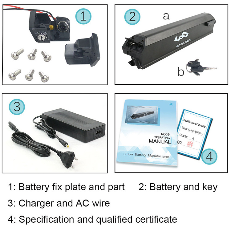 Reention electric e bike battery bike bicycle mountain 24v 36v 48v Ebike Battery fat bike full suspension dorado battery