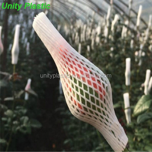 EPE Plastic protective Rose Flower Bud Netting for sale