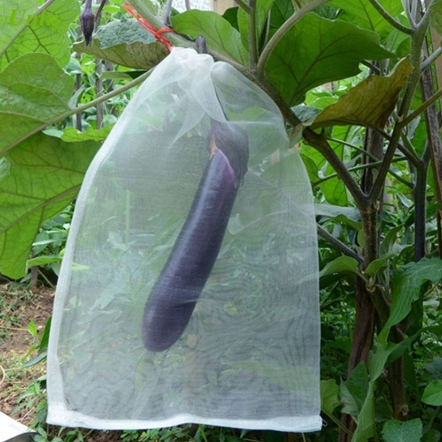 Anti insect net fruit net protection bag insect price