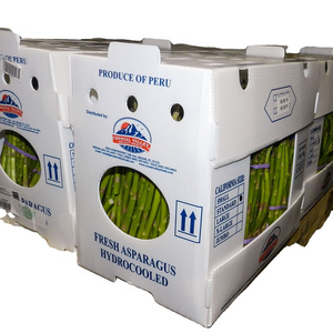 UP top quality food grade white pp corrugated plastic boxes for asparagus and vegetables air circulated stackable iso 9001:2015