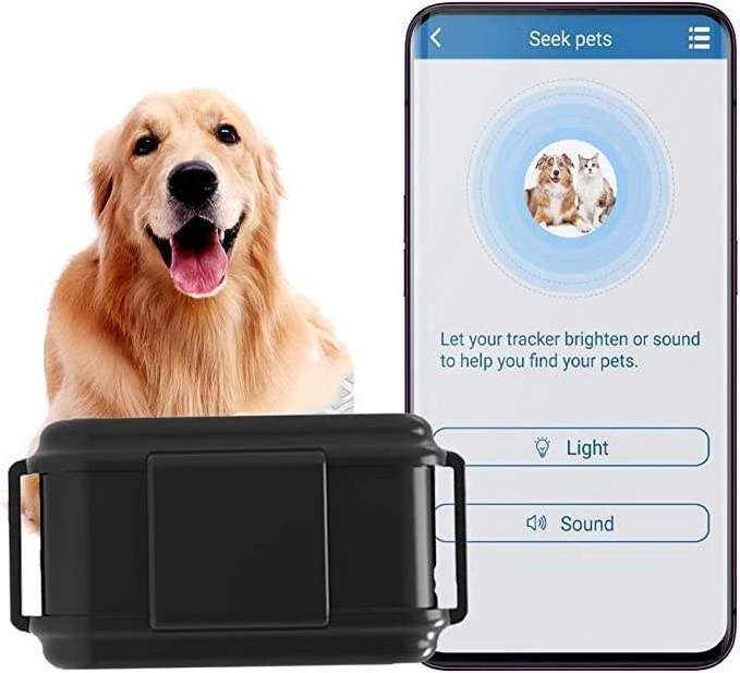 TK919 Pet GPS Tracker 4G Pet Finder Waterproof GPS Tracker For Dog Cattle Horse Hunting Dogs GPS Tracker Collar