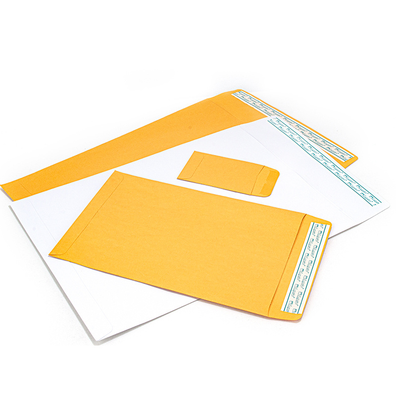 Wholesale Custom Do Not Bend Pink 310 220 25 Depth Photo Packaging Paperboard Cardboard Mailer Envelope