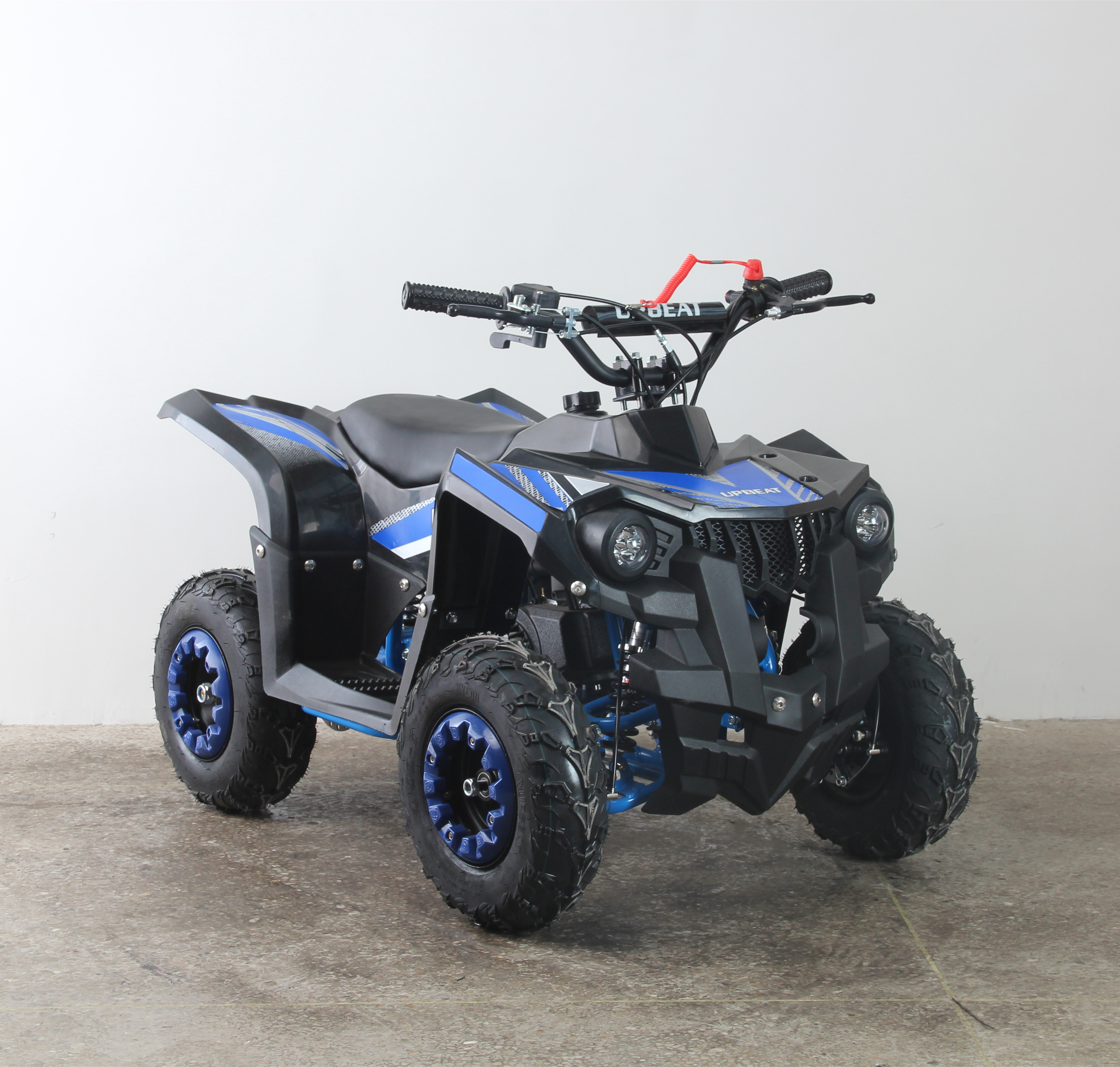 New Atv 1000w Kids Electric Quad Atv