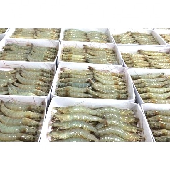 Vietnamese Best Price  Frozen Vannamei Shrimp high quality