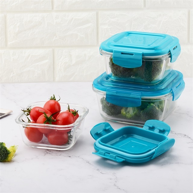 Microwave Safe Rectangle Lunchbox Food Container with Lids and locks