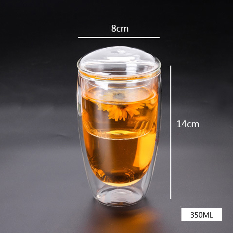 Double Wall Glass Bottle Tea Pot With Lid  Infuser Double Insulated Glass Tea Bottle with Tea Strainer