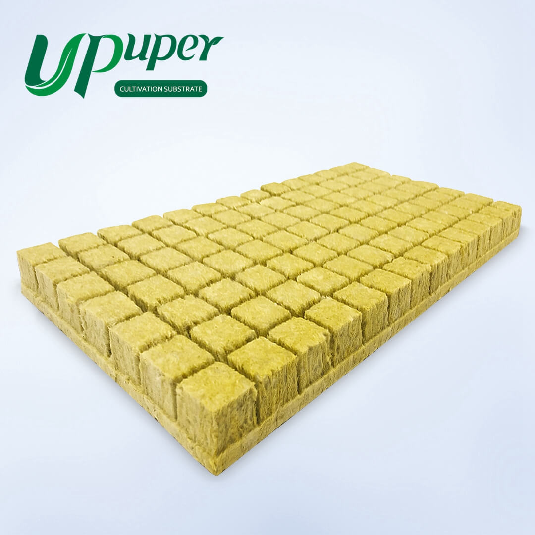 UPuper CP 36T 1.5 inch seed sprouting tray clay pebbles hydroponic growing rock wool cubes