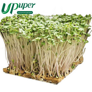 UPuper planting sponge rock wool substrate grow mat for microgreens