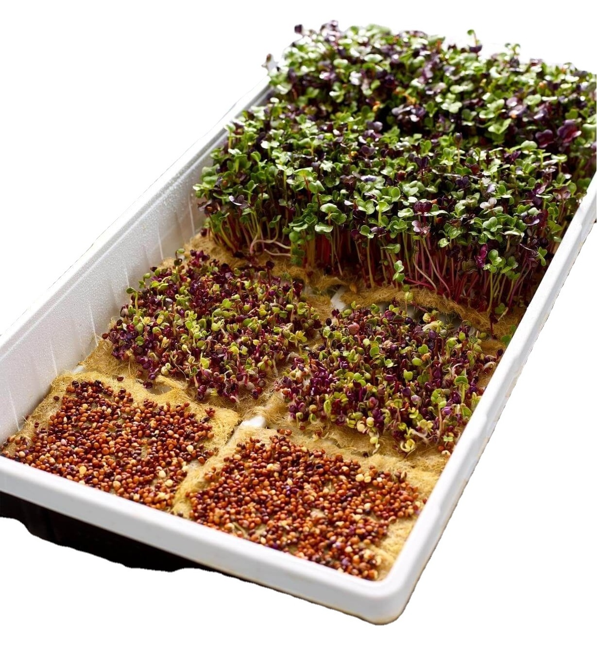 UPuper planting sponge rock wool substrate grow mat for microgreens