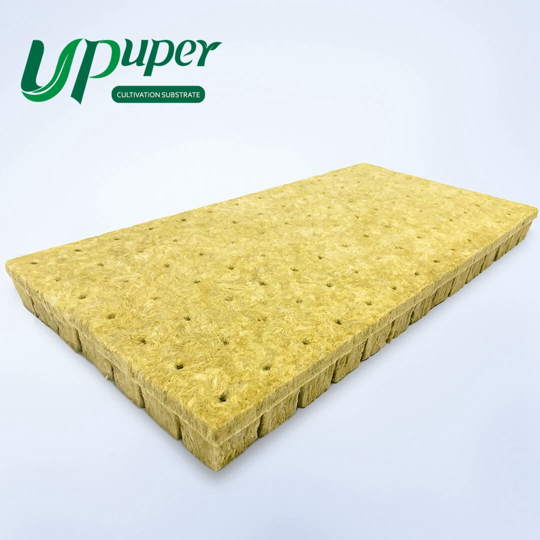 UPuper CP 36T 1.5 inch seed sprouting tray clay pebbles hydroponic growing rock wool cubes