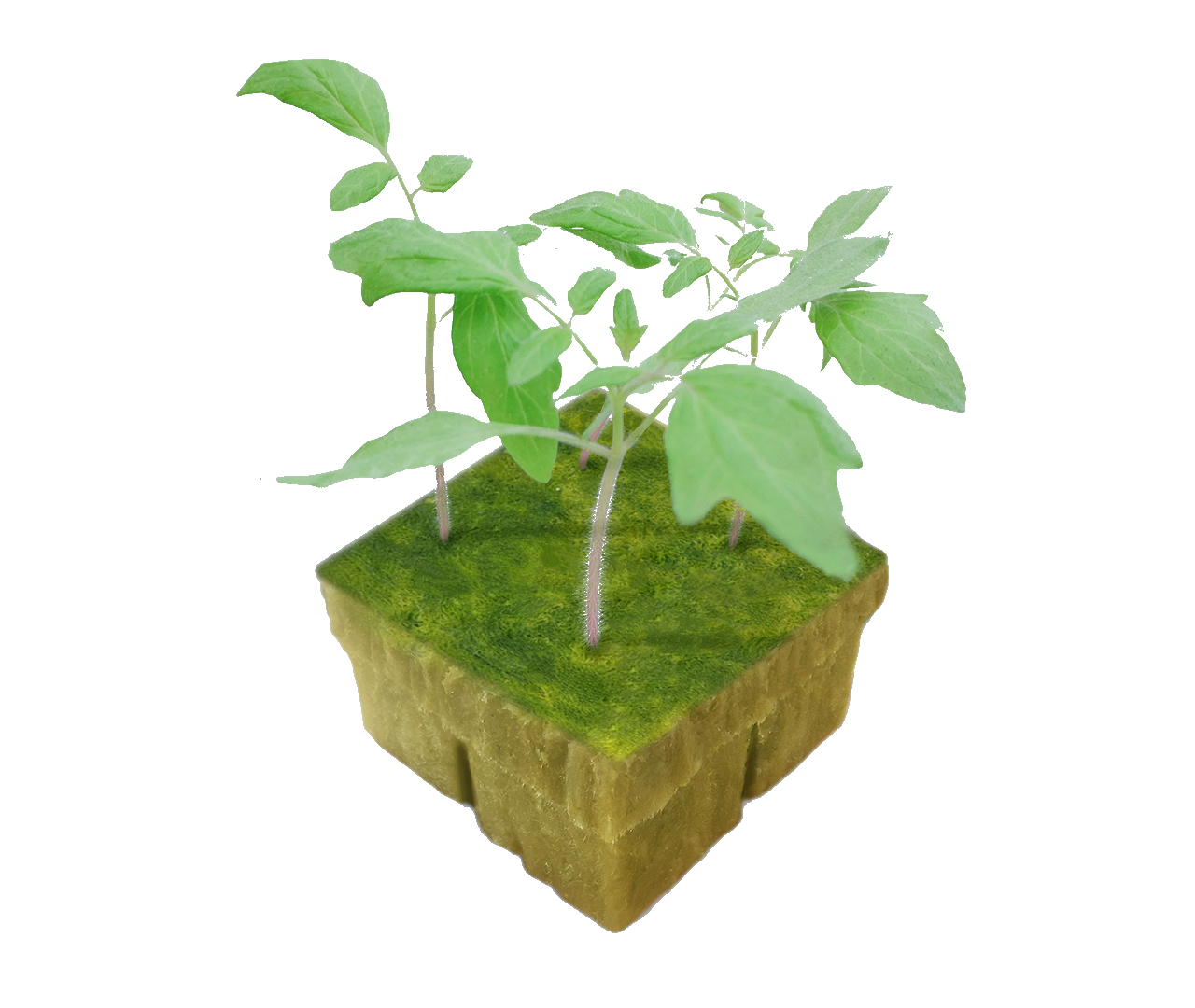 UPuper hydrophonic grow trays rock wool manufacturers indoor plants seeds stonewool grow cubes