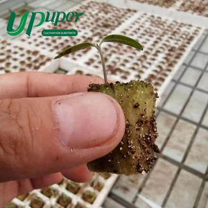 UPuper NFT deep water substrate culture hydroponic cultivation plants rock wool seed starter grow plugs for seedlings