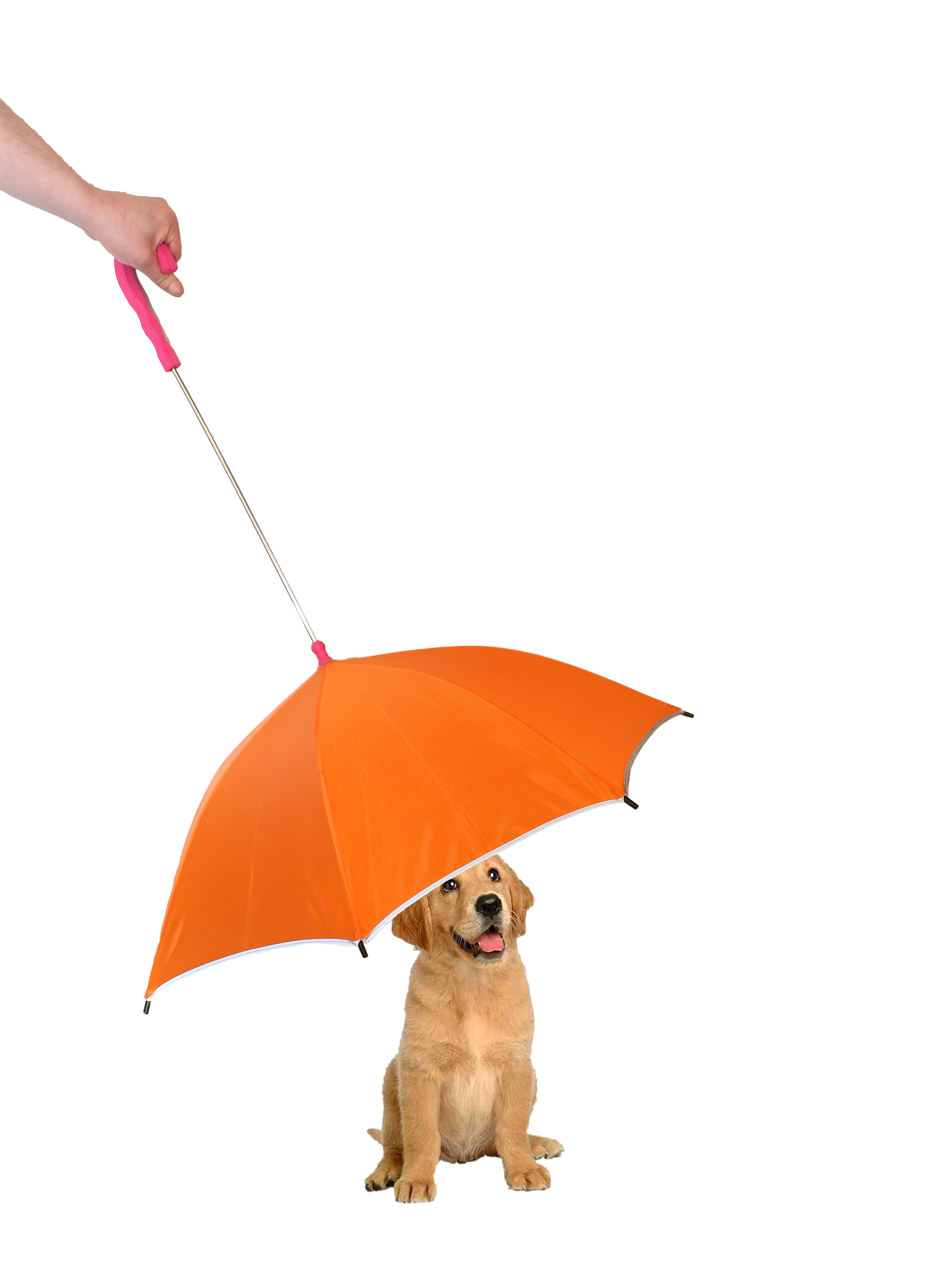 Pet umbrella pets dog umbrella