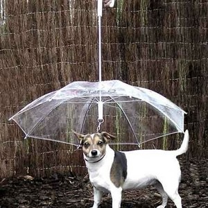 Dog umbrella transparent pet umbrella