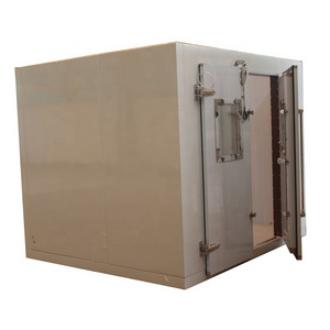 double open doors 5 tons fruits and vegetable cooling storage cold room