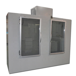 Station for 320 Packed Indoor Commercial Used Double Glass Door Ice Merchandiser