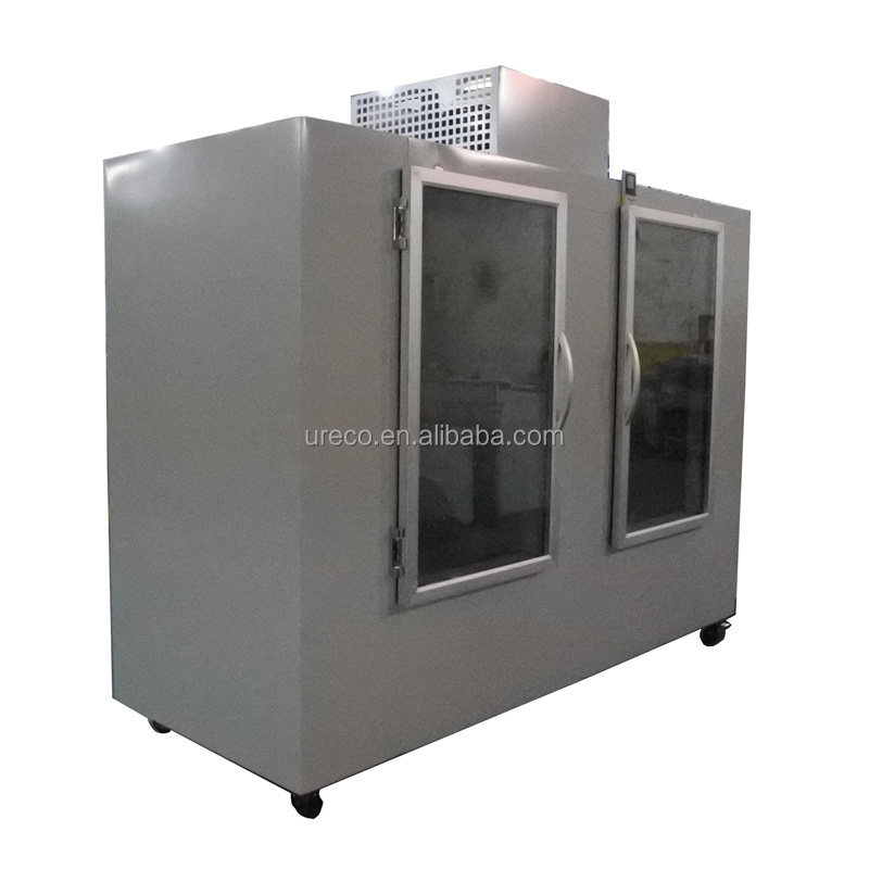 Station for 320 Packed Indoor Commercial Used Double Glass Door Ice Merchandiser