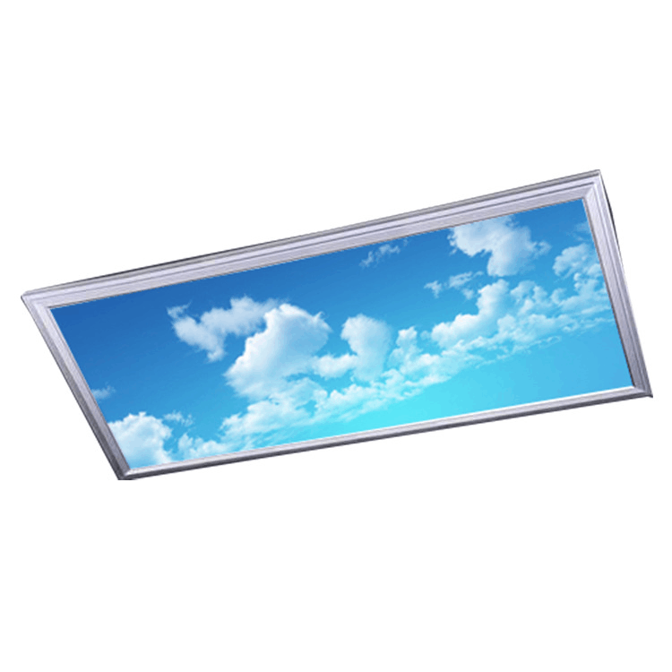 Jiaxing LED panel light factory 600*600 603*603 595x595 Sky  Light Panel Light Cloud Sky2x2ft Ceiling Led Skylight Panel Ceiling