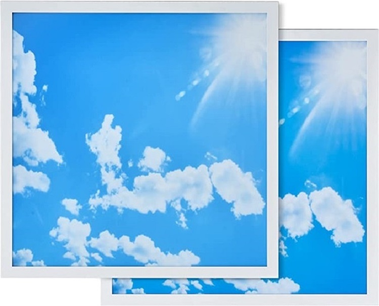 Jiaxing factory Cheap 600*600 603*603 2x2ft Sky Ceiling Light Panel Panel Light Cloud Sky Led Skylight Panel Ceiling