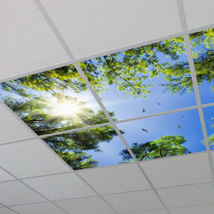 Jiaxing factory Cheap 600*600 603*603 2x2ft Sky Ceiling Light Panel Panel Light Cloud Sky Led Skylight Panel Ceiling