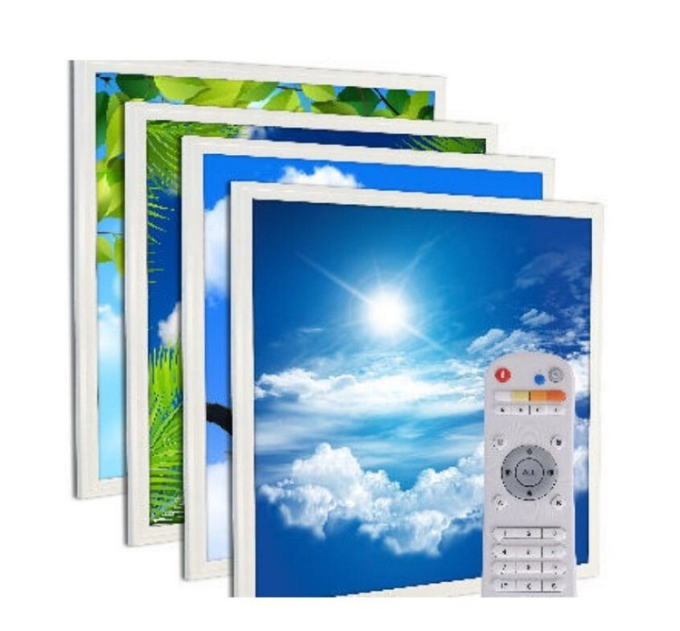 60X60cm 30X120cm Custom Square 40W Blue Sky Embedded LED Panel Light Blue Sky White Cloud Ceiling Light Window