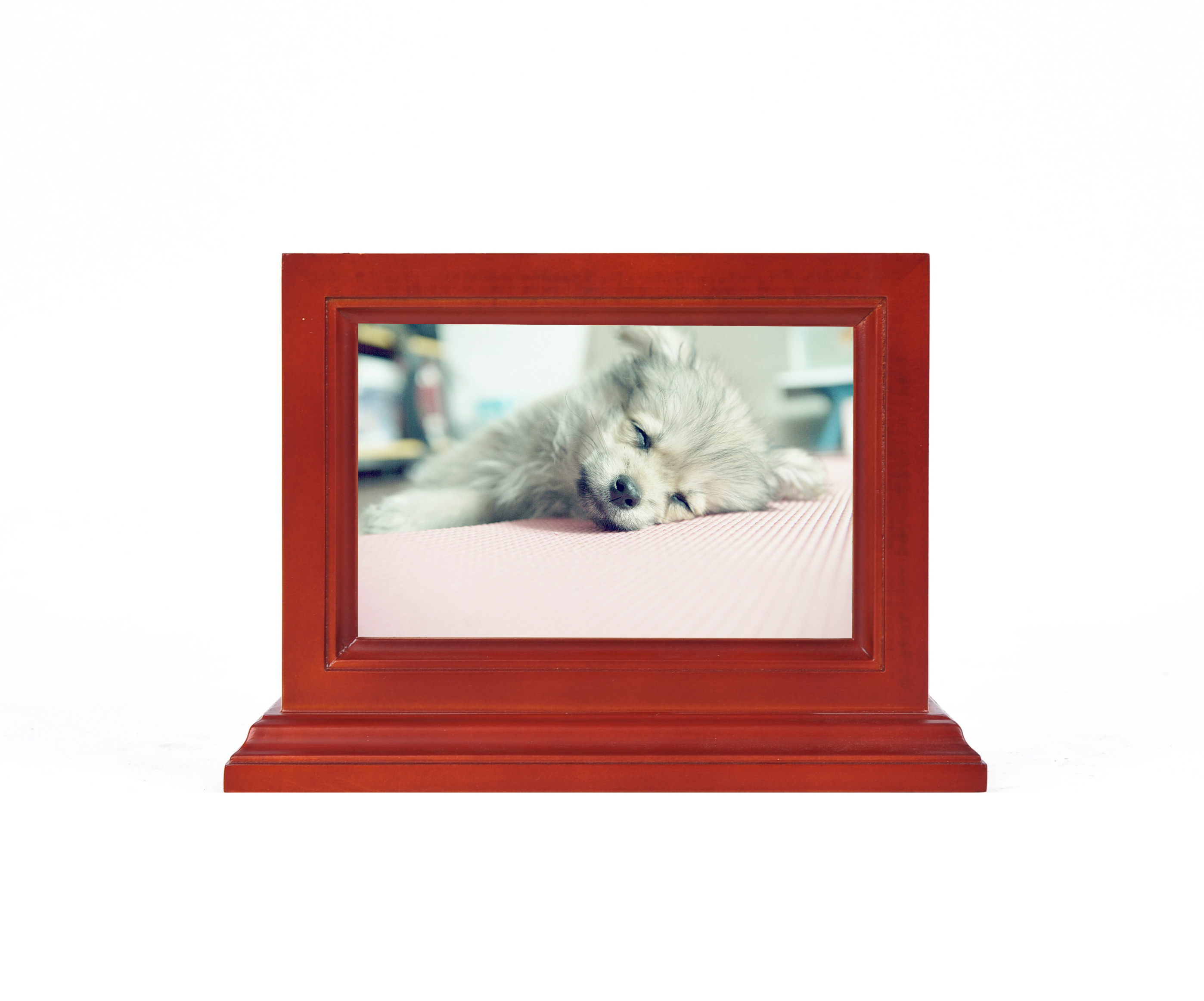 OSB013  wood pet urn  photo pet urn  pet memorial urn