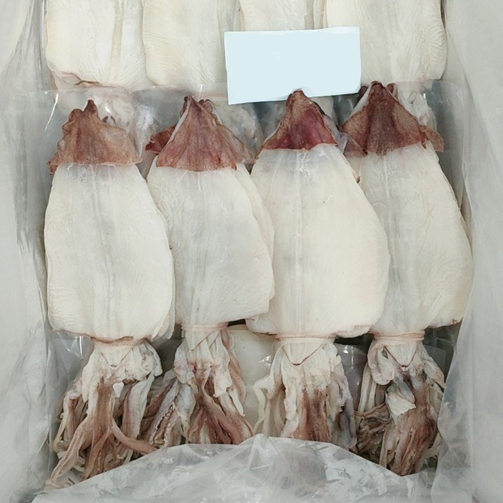 High Quality Dried Cuttlefish From Vietnam Customized Size Anf Package A+ Grade Dried Arrow Squid Skinless