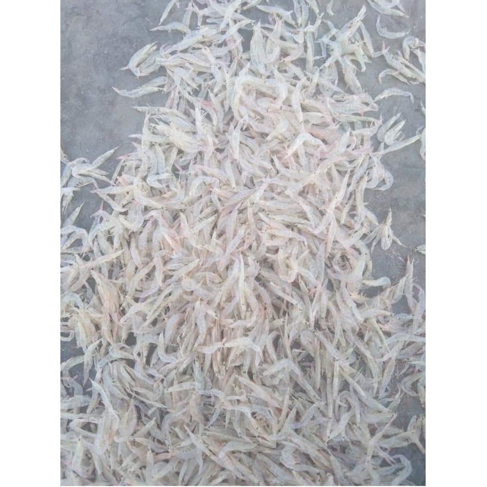 Seafood Dried Dehydrated Tiny Shrimp Food Topping 10kg Natural color Steamed Baby Small Size Wholesale Prawn From Vietnam