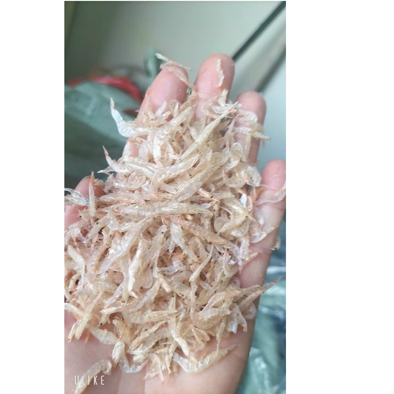 Seafood Dried Dehydrated Tiny Shrimp Food Topping 10kg Natural color Steamed Baby Small Size Wholesale Prawn From Vietnam