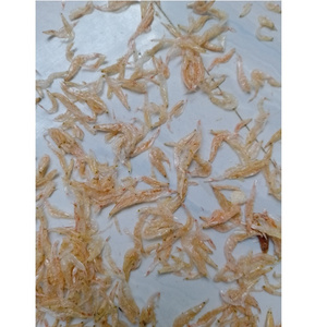 Dehydrated Tiny Natural color Topping Dried Seafood Small Size Steamed Food Snacks Shrimp Prawn In Bulk Packaging From Vietnam