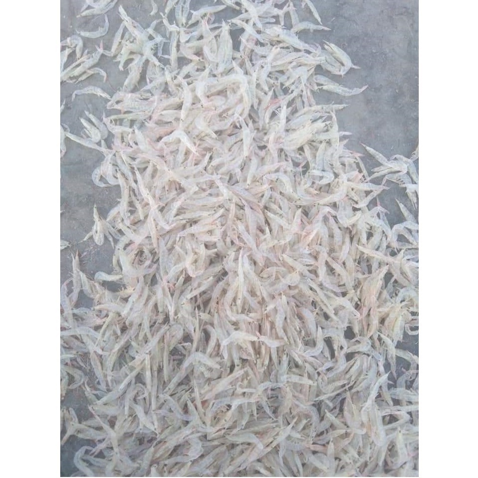 Snack Wholesale Steamed Food Topping Small Size High Quality Seafood 10kg Dehydrated Tiny Shrimp Prawn From Vietnam