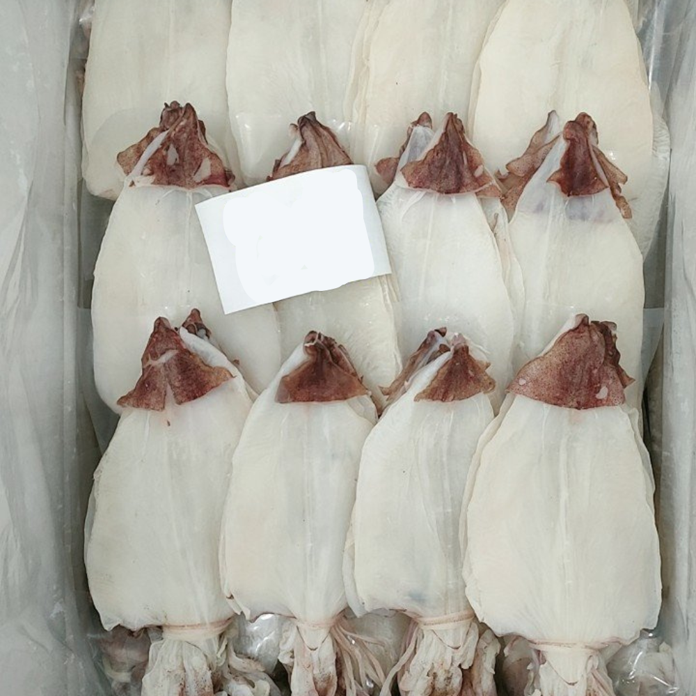 High Quality Dried Cuttlefish From Vietnam Customized Size Anf Package A+ Grade Dried Arrow Squid Skinless