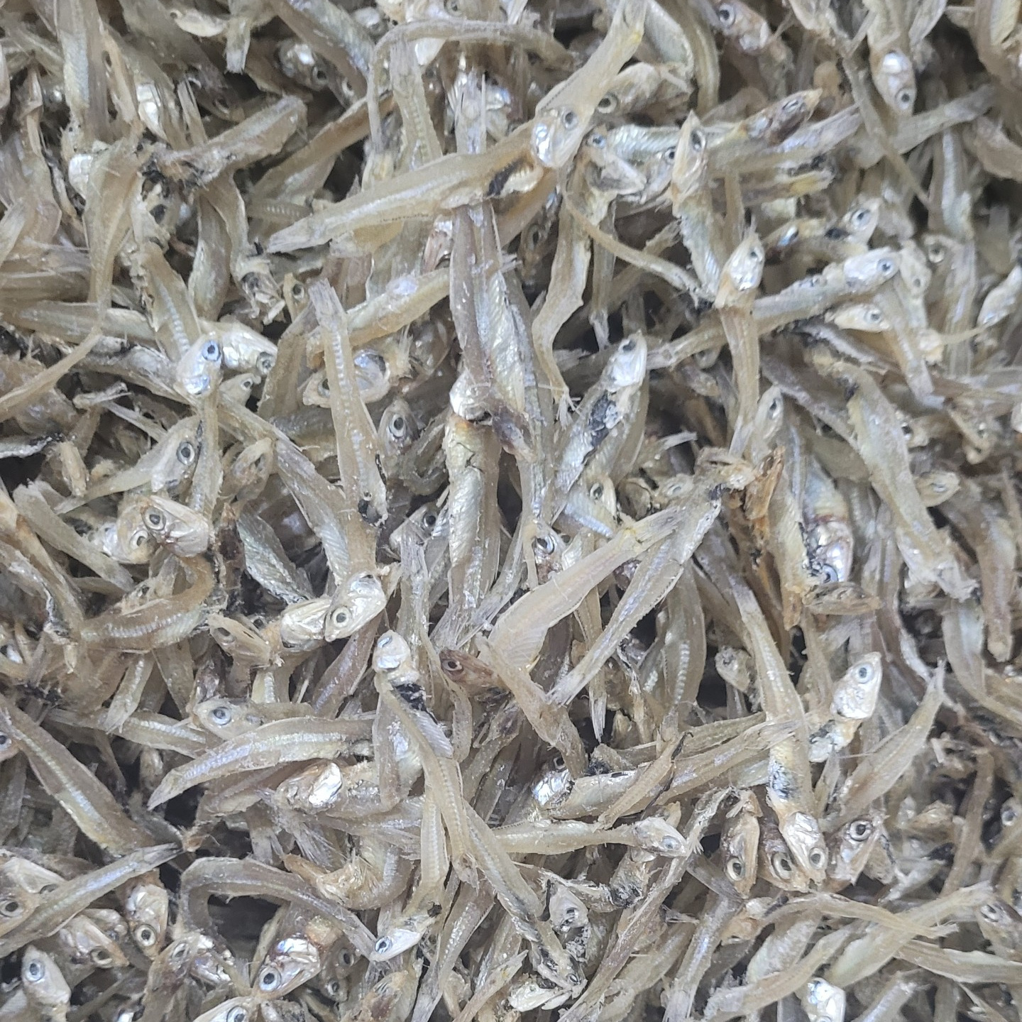 High Quality Raw Dried Anchovy Without Steam Seafood Whole Small Fish Anchovy With Head R4 (5-7cm) Long SeafoodFrom Vietnam