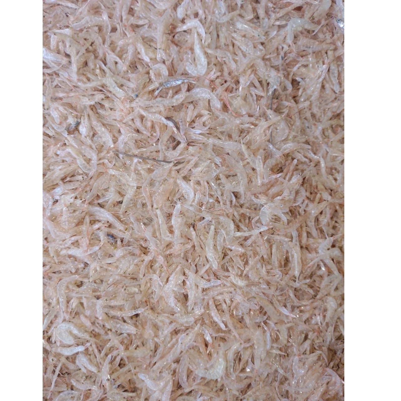 Snack Wholesale Steamed Food Topping Small Size High Quality Seafood 10kg Dehydrated Tiny Shrimp Prawn From Vietnam