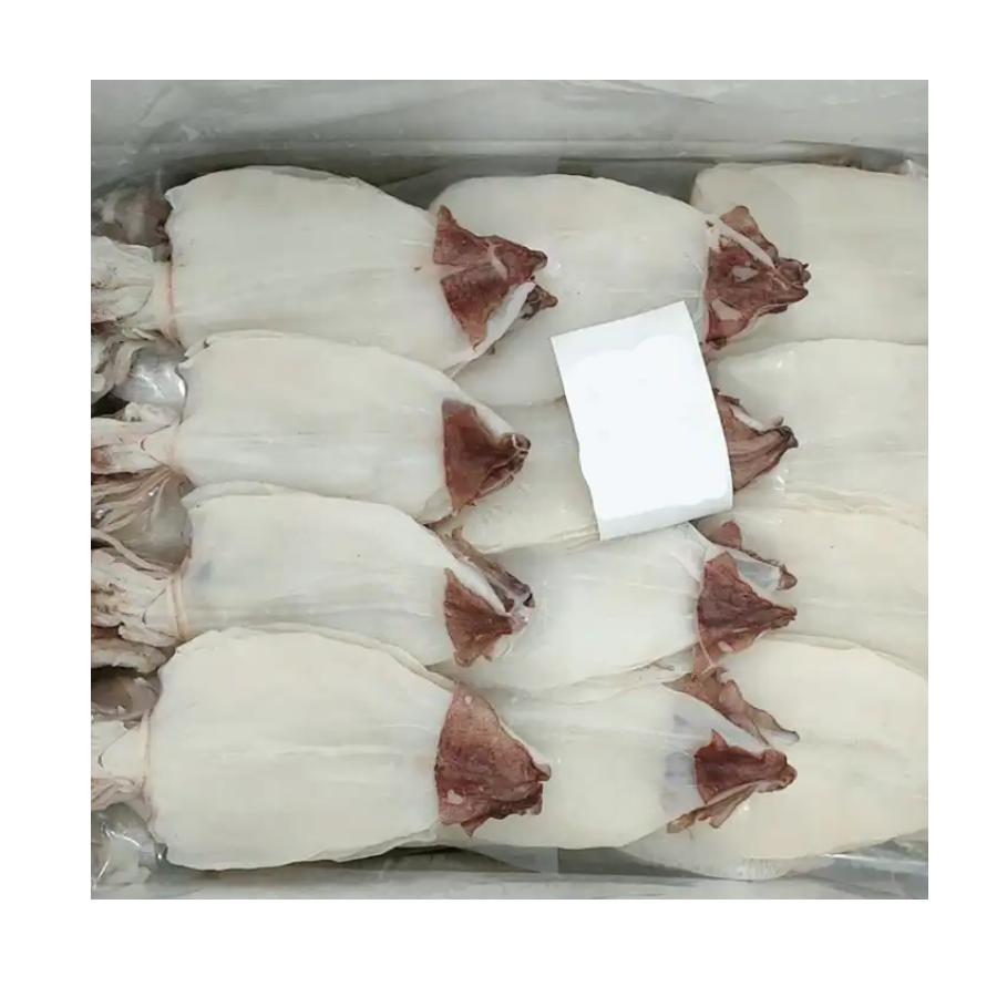 Calamari Squid Skinless Quality 10 Kgs/carton Storage Packaging Bulk Logo Customize Dried Cuttlefish Vietnam