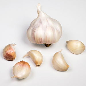 Fresh natural white garlic/ 2023 Harvest/ Top quality garlic/