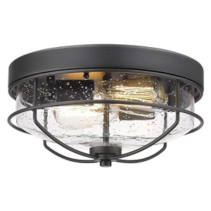 Industrial light fixtures ceiling 2 light glass flush mount